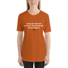 Load image into Gallery viewer, christine de pizan elizabeth cady stanton virginia woolf me (Reverse printed, mirror readable) | All Cotton Short-Sleeve T-Shirt
