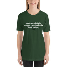 Load image into Gallery viewer, christine de pizan elizabeth cady stanton virginia woolf me (Reverse printed, mirror readable) | All Cotton Short-Sleeve T-Shirt
